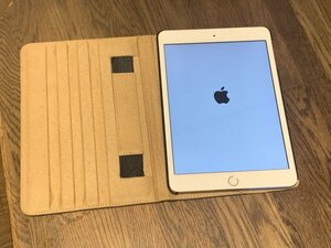 Apple iPad mini 3 セルラーモデル（Softbank）＋ ケース（中古品）