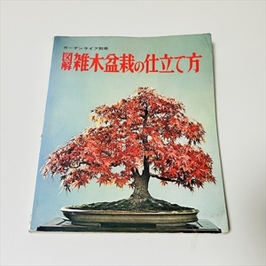 ガーデンライフ別冊/図解雑木盆栽の仕立て方/昭和50年4版/誠文堂新光社