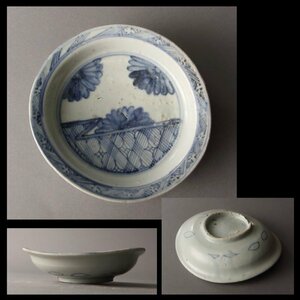 【深和】1630-1640年代◆初期伊万里染付菊図皿（茶道具 和食器 懐石具 伊万里焼 磁器 古玩 青花 染付 皿 菊 花卉図 植物図）