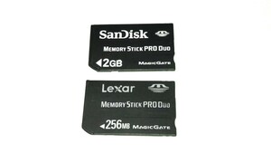 SanDisk MEMORY STICK PRO DUO 2GB メモリースティック