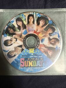 週刊ヤングサンデー 付録DVD 2004夏 相武紗季 大沢あかね 仲根かすみ 井上和香 安田美沙子 平田裕香 瀬戸早妃 佐藤寛子 森下千里 大量出品