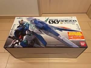 PG GN-0000+GNR-010 ダブルオーライザー 初回生産限定版 ＆ 初回購入特典