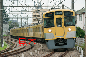 鉄道写真データ（JPEG）、00885186、2000系、西武鉄道新宿線、小平〜花小金井、2017.06.22、（7360×4912）