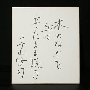 色紙ー645　寺山修司　木のなかで血は立ったまま眠る　劇作家【真作】