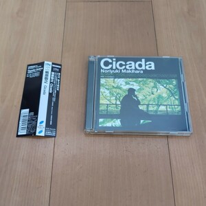 Cicada☆槙原 敬之☆初回限定盤☆8cmCDシングル付き☆CD☆used 