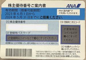 スピード通知 ANA 全日空 株主優待券 1枚 国内 航空券 搭乗期限24年5月末まで