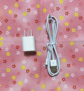 ◆処分品 ： 新品未使用 Apple 純正 5W USB電源アダプタ ＆ Lightning ライトニング ケーブル（新品同様） iPhone / iPad用 / 送料無料 