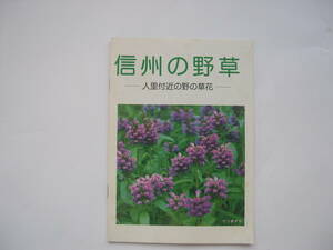 【冊子(パンフ)】『信州の野草 ―人里付近の野の草花―』／B6・22ページ