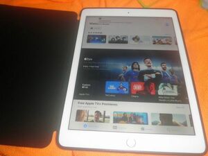 Apple iPad Air 2 Wi-Fi 16GB MGLW2J/A SILVER CASE SET