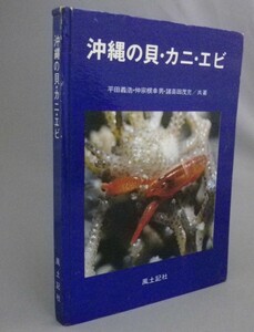 ☆沖縄の貝・カニ・エビ　　（蟹・海老・ヤドカリ・生物・琉球・沖縄）