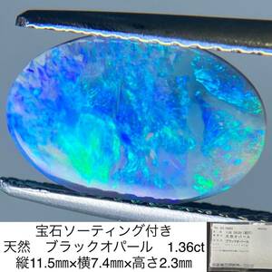 宝石ソーティング付き 天然　ブラックオパール 1.36ct 縦11.5㎜×横7.4㎜×高さ2.3㎜ 3280S