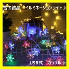 雪型 LED　イルミネーションライト  USB  6M 40LED　カラフル