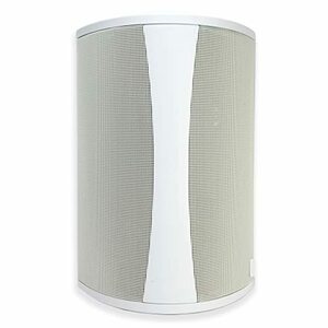 Definitive Technology AW5500 Outdoor Speaker - 5.25-Inch Woofer | 175 (中古品)