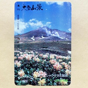【使用済】 花オレンジカード JR北海道 大雪山景 キバナシャクナゲと旭岳