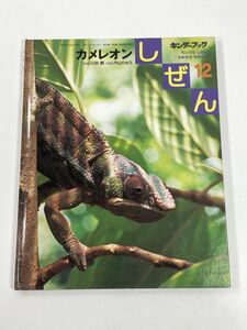 キンダーブック　しぜん12　「カメレオン」2006年発行　　ーフレーベル館ー【z78156】