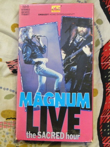 MAGNUM マグナム live