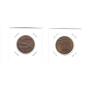 04-411-003 年銘板 丸形 ミントセット（平成31年 2019年） 貨幣セット出し ミント出し 「猪」「己亥」