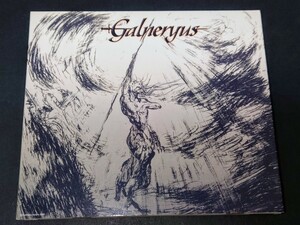 【即決 初回限定盤 ステッカー付 ボーナス曲入】ガルネリウス/GALNERYUS◆Advance To The Fall◆2005年作品/2nd◆YAMA-B(Vo)