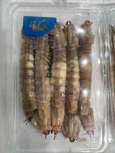 カットシャコ 10p（１p 約１０匹）しゃこ 蝦蛄エビ 贈り物 中国産