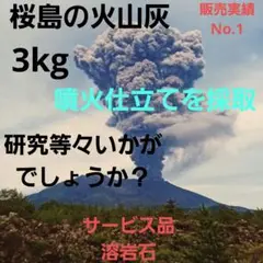 ご購入頂いた後採取☆　鹿児島　桜島　火山灰　約3kg　サービス品付き　研究