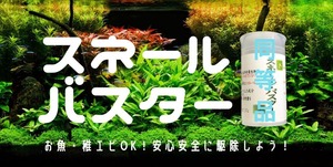 ★大容量★ 絶対に…駆逐してやる! エビ魚に無害 スネールバスター キラースネイル 50g 便利 計量スプーン付 水草その前に プラナリアZERO