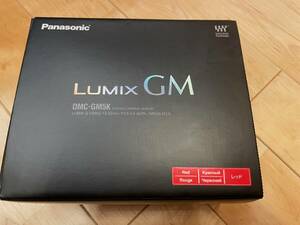 Panasonic DMC-GM5、高倍率ズーム14-140ｍｍ、別売ストロボ、アイカップ付