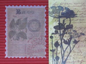 □■□43013-HS□■□[FLAKE-STICKER] ヴィンテージSTAMP_RETRO FLOWER PLANT CODE