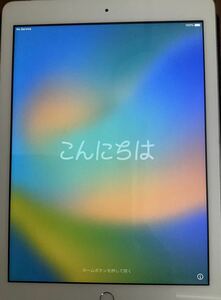 iPad 第５世代　docomo 128GB