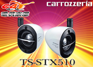 【取寄商品】carozzeriaカロッツェリアTS-STX5後継新型小型サテライトスピーカーTS-STX510