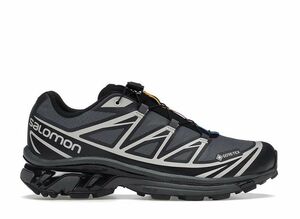 Salomon XT-6 GORE-TEX "Black/Ebony/Lunar Rock" 28.5cm l41663500