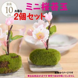【新品/2個セット】ミニ桜苔玉 造花 花材 置物 インテリア アートフラワー