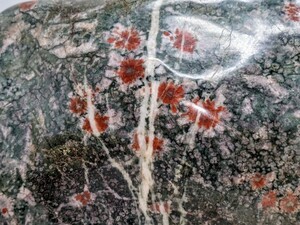 菊花石　孔雀風の紋様がある緑母岩に紅白を中心とした小花　６キロ程度　根尾　鑑賞石　水石　盆石　自然石　花梨系台座付き