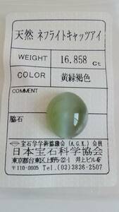 【天然 大粒　ネフライトキャッツアイ　黄緑褐色】　16.858ct ルース ソーティング付き　難あり