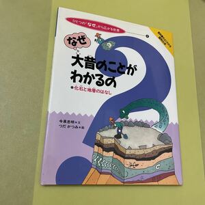 ◎なぜ大昔のことがわかるの 化石と地層のはなし (ひとつの『なぜ』から広がる世界)