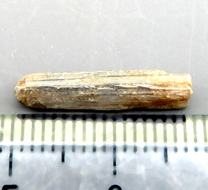 ベスブ石 Vesuvianite 鉱物標本 含銅ベスブ石 Cyprine アフガニスタン 瑞浪鉱物展示館 4999