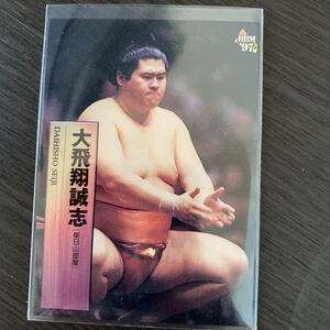 ９７BBM　50　大飛翔　誠志　大相撲カード