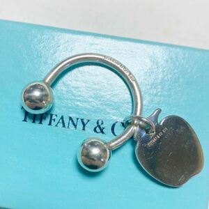 TIFFANY&Co TIFFANY TIFFANY&Co. ティファニー キーリング silver 925 アップル　りんご