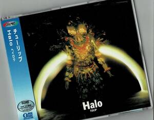 ★　チューリップ　ヘイロウ　/　TULIP　Halo 　TOCT-10079 財津和夫　Q盤　EXTRA DATA CD 　【CD】