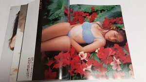 浜崎あゆみ、遠峰ありさ、ほか　恋写Vol.1 1995