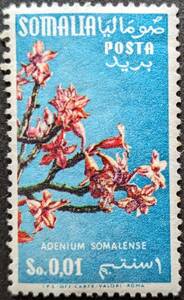 【外国切手】 イタリア領ソマリランド 1955年02月28日 発行 植物相 未使用