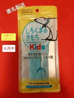 しろくまのきもち Kids みずいろ