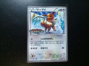 ポケモンカード プロモ イーブイ 213/BW-P ジム☆チャレンジ ロゴ入り