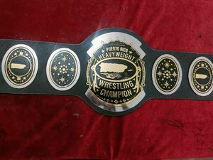 海外　限定品　送料込み　AWA SOUTHERN HEAVYWEIGHT DUAL　 プロレス　レスリング　チャンピオン　優勝　ベルト　高品質　レプリカ 2