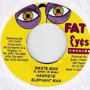 Epレコード　ELEPHANT MAN & HAWKEYE / WASTE MAN (PAYNE LAND)