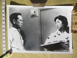 古写真 1959年 松竹映画 スチール写真 「今日もまたかくてありなん」 出演：高橋貞二、久我美子、中村勘三郎(18代目)、中村勘三郎(17代目)