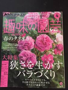 趣味の園芸　2019年　4月　狭さを生かすバラづくり