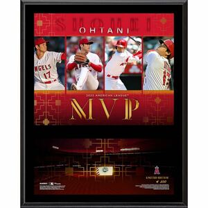 大谷翔平選手 2023 MVP フォトフレーム フォトプラーク フォトミント 写真 ボール フォト 記念品 メジャーリーグ 限定品 MLB グッズ 記念