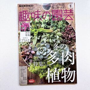 NHKテキスト趣味の園芸 2023年 01 月号 冬の多肉植物