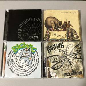 Bigwig CD 4枚 Nofx Strung Out No Use For A Name Pennywise Bad Religion メロコア