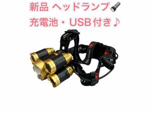 LEDヘッドライト LEDヘッドランプ usb 充電式 高輝度 明るい 登山LEDヘッドライト 充電式 高輝度 ヘッドランプ USB 充電式ヘッドライト